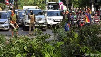Petugas dari Pemprov DKI Jakarta melakukan penebangan di Jalan Asia-Afrika Senayan, Jakarta, Selasa (22/5/2018).