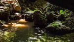 Foto: Gua Suku Kanibal di Fiji