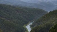 Traveler diajak menikmati pemandangan alam yang unik dari perpaduan 5 geosite, dari hutan, sungai hingga perbukitan. Beragam spesies langka Eropa juga bisa traveler temukan di sini (Passadicos do Paiva .PT/Facebook)