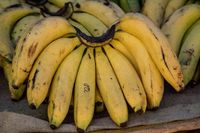 Resep Kue : Sanggara Tammale
