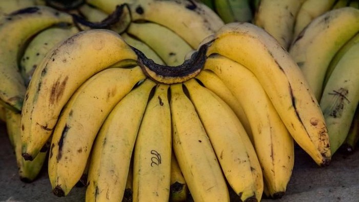 Bukan Menu Tepat, Ini Efek Buruk Makan Pisang Buat Sarapan