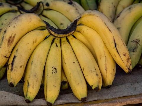 pisang