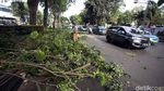 Penebangan Pohon Macetkan Jalan Asia Afrika Senayan