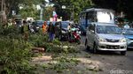 Penebangan Pohon Macetkan Jalan Asia Afrika Senayan