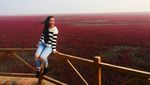 Foto: Pantai Berwarna Merah di China