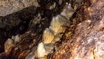 Foto: Gua Suku Kanibal di Fiji