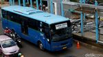 Halte Bus TransJakarta BNN Dibongkar