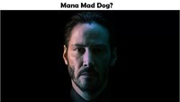 Memang sih John Wick itu pecinta anjing, tapi nggak gini juga ya! Dok. Ist