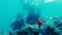 Tak hanya liburan biasa, olahraga berat seperti diving pun Liza jajal. (lizasoberano/Instagram)