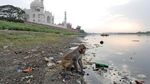 Potret Miris Keindahan Taj Mahal Dikepung Sampah