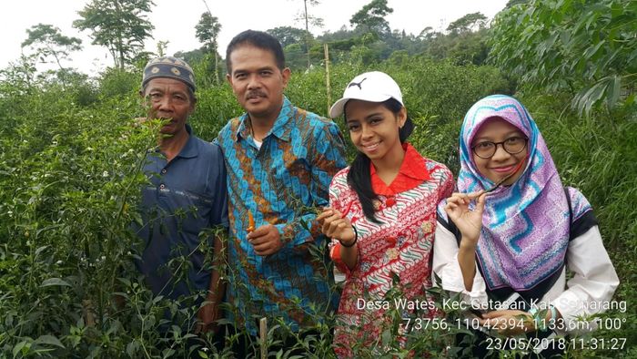 Foto: Kementan Foto: Kementan