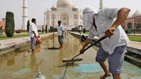 Serangga kecil dari Sungai Yamuna yang mengering seringkali membuang kotorannya di sekitar air mancur yang terletak di depan Taj Mahal. Sehingga untuk tetap membuat area Taj Mahal bersih dan indah para pekerja harus siap sedia membersihkan air mancur tersebut. Saumya Khandelwal/Reuters.