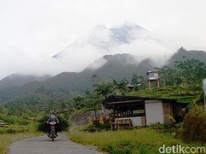 TNGM Klarifikasi Soal Monyet di Merapi Turun Gunung