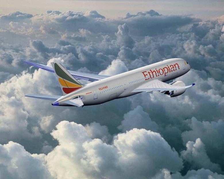 WNI Dilaporkan Jadi Korban Jatuhnya Pesawat Ethiopian Airlines WNI Dilaporkan Jadi Korban Jatuhnya Pesawat Ethiopian Airlines