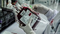 Golongan O Disebut Kebal COVID-19, Bisakah Ganti Golongan Darah?