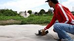 Serunya Ngabuburit Sambil Melatih Burung Dara