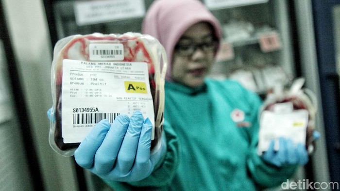 Tertular Hiv Lewat Transfusi Darah Kok Bisa Ini Kata Pmi