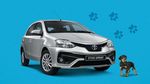 Etios Edisi Spesial untuk Afrika Selatan