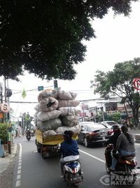 Truk Obesitas