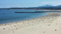 Hondarribia juga punya pantai yang cantik (itziar55/Instagram)