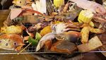 Serunya Mancing Sendiri Lobster dan Kepiting di Resto Buffet Seafood Ini
