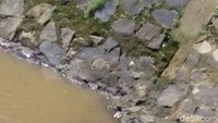 Warga Kecamatan Baleedah Kabupaten Bandung Jawa Barat digegerkan dengan kemunculan seekor buaya di aliran Sungai Cisangkuy. Mendapatkan laporan dari warga, jajaran Polsek Baleendah langsung meninjau lokasi kemunculan buaya. (Foto: Istimewa)