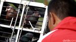 Serunya Ngabuburit Sambil Melatih Burung Dara