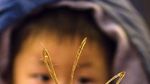 Keren! Gulali Karamel ala China Ini Seindah Karya Seni