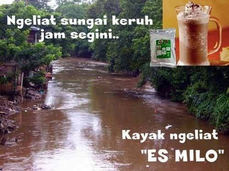 Meme es puasa