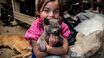 Anak di Kolombia punya kucing peliharaan. Penghasilan orang tuanya USD 163 per bulan. Foto: Gapminder