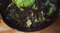 Kata @tonyrusly ini dessert terenak. Ya tentu saja karena alpukat dicampur oreo yang dimemarkan halus plus es krim matcha. Enak banget! Foto: Instagram @tonyrusly