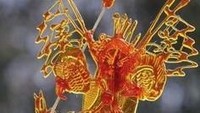 Ada yang tahu gulali karamel ini berbentuk karakter apa? Seperti penari tradisional China ya? Foto: Istimewa