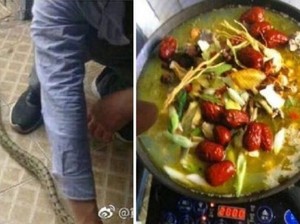 Hiii, Mahasiswa Ini Masak dan Makan Ular yang Masuk ke Asramanya