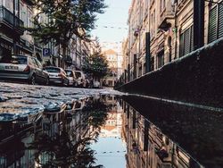 Keren! Foto Ini Dipotret dari Genangan Air