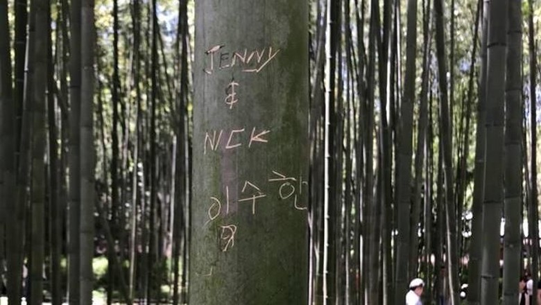 Salah satu pohon bambu di Arashiyama yang di vandalisme (Ebisuya/Facebook) Salah satu pohon bambu di Arashiyama yang di vandalisme (Ebisuya/Facebook)