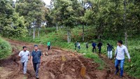 Tim pemburu diterjunkan untuk mencari harimau yang menyerang warga Jambi. Tim itu terdiri dari TimKPHP Unit 1 Kerinci, bersama Balai Konservasi Sumber Daya Alam (BKSDA) Jambi dan anggota TNKS. 