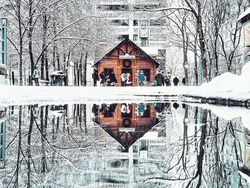 Keren! Foto Ini Dipotret dari Genangan Air