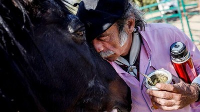 Potret Terapi Stres dengan Curhat ke Kuda