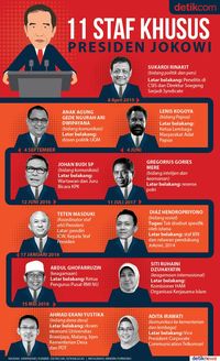 Profil Dan Tugas 11 Staf Khusus Presiden