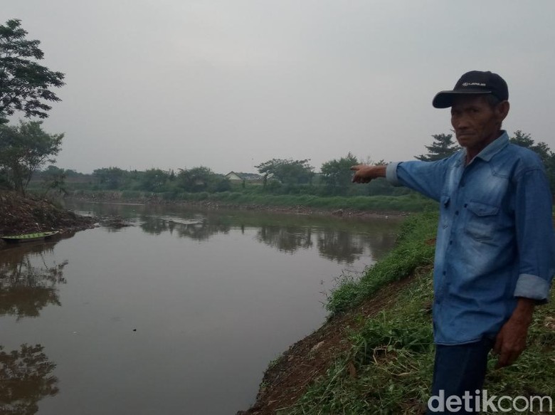 Warga Baleendah Kembali Geger, Buaya Muncul di Sungai Citarum Warga Baleendah Kembali Geger, Buaya Muncul di Sungai Citarum