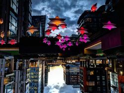 Keren! Foto Ini Dipotret dari Genangan Air