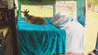 Chad secara khusus mendesain ulang interior mobil ini dengan nuansa kayu dan hippies untuk menggambarkan kebebasan mereka setelah memutuskan untuk keluar dari pekerjaan mereka dan mengelilingi Amerika Serikat beserta taman nasional yang ada di negara tersebut. Istimewa/Boredpanda.