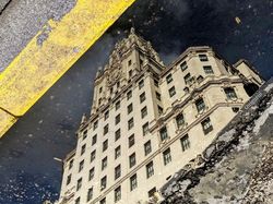 Keren! Foto Ini Dipotret dari Genangan Air