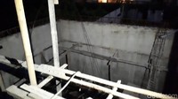  Konsep yang diambil adalah rumah tropis. Foto: Desi Puspasari/detikHOT