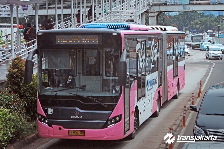Bus Transjakarta Pink Khusus Wanita. Foto: dok. Transjakarta Bus Transjakarta Pink Khusus Wanita. Foto: dok. Transjakarta