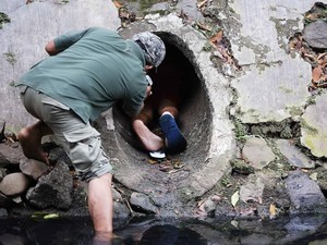 Cerita Penyelamatan Anjing dalam Gorong-gorong di Kali Dekat HI