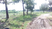 Pantauan detikcom di lokasi, Sabtu (26/5/2018), lokasi pemakaman bagi Jenazah tunawan ini berada tengah TPU Tegal Alur, yaitu pada Blok A-III.