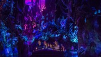 Disneys Animal Kingdom At Walt Disney World di Florida menyedot 12,5 turis dalam setahun (Steven Diaz/Disney)