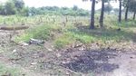 Foto: Lokasi Jenazah Dibuang di TPU Jakbar yang Bikin Heboh