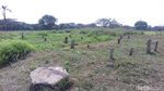 Foto: Lokasi Jenazah Dibuang di TPU Jakbar yang Bikin Heboh